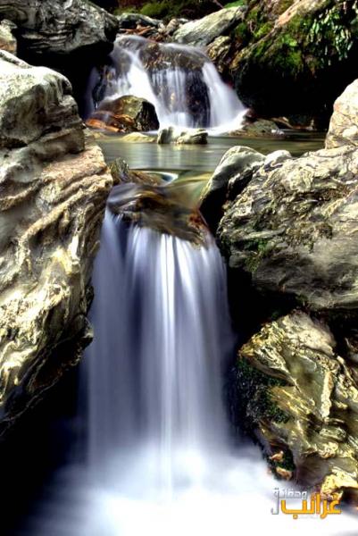 sssssssssssssssssssssss